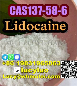Wholesale 99% Purity Lidocaine Powder CAS 137-58-6